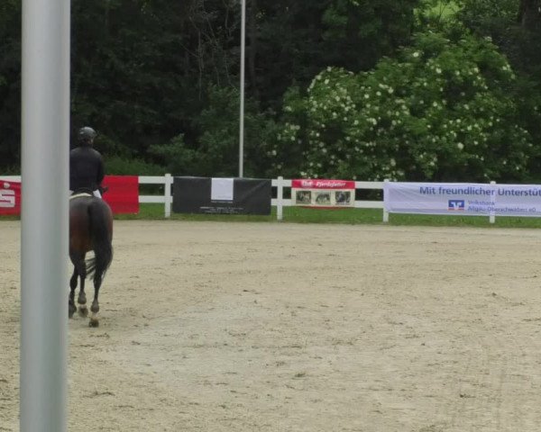 Reitturnier Isny-Rohrdorf 2018
