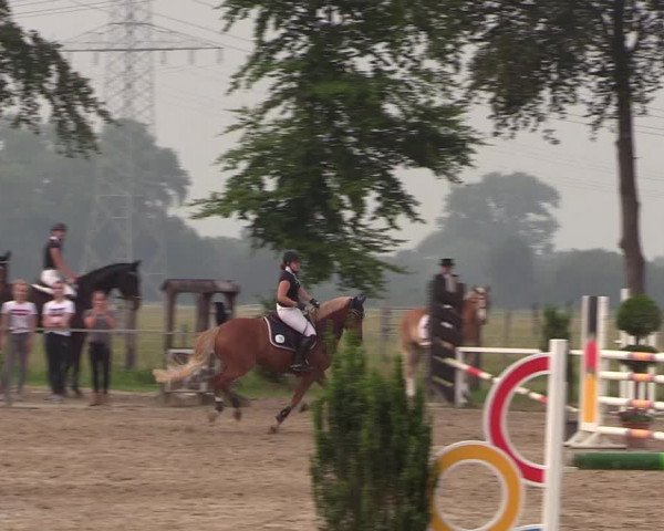 Reitturnier Dortmund-Asseln 2018