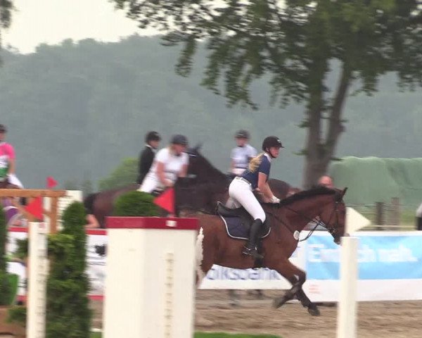 Reitturnier Dortmund-Asseln 2018