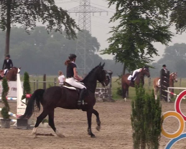 Reitturnier Dortmund-Asseln 2018