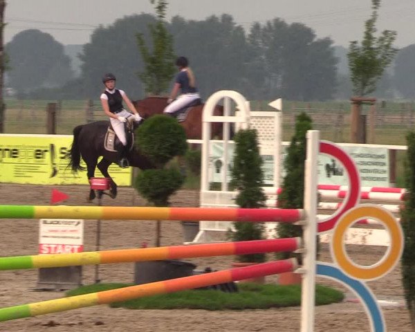 Reitturnier Dortmund-Asseln 2018