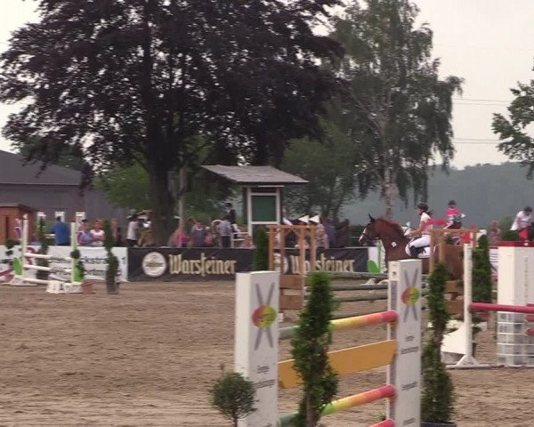 Reitturnier Dortmund-Asseln 2018
