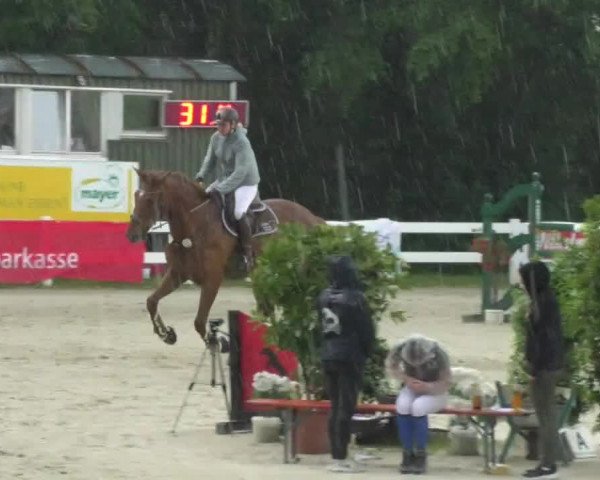 Reitturnier Isny-Rohrdorf 2018