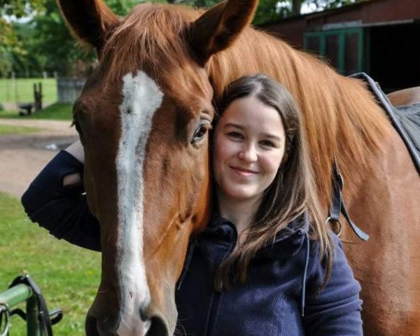 horse Ruby 173 (Hanoverian, 2009, from Rascalino)
