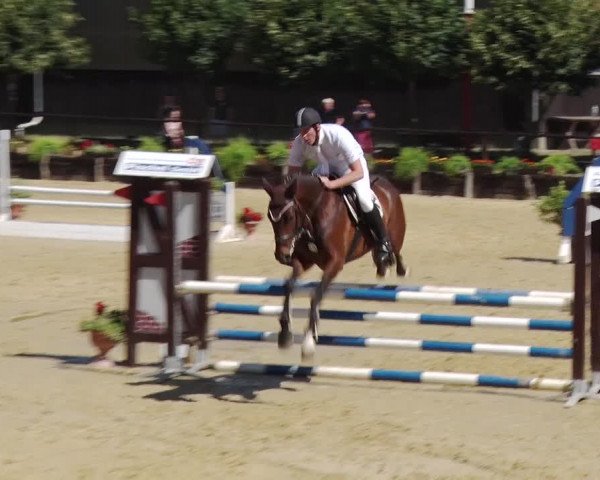 Reitturnier Schönfeld 2018