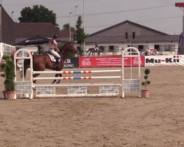 Reitturnier Dortmund-Asseln 2018