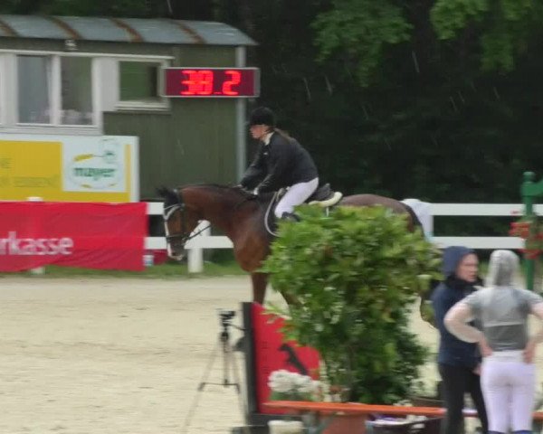 Reitturnier Isny-Rohrdorf 2018