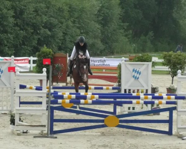 Reitturnier Isny-Rohrdorf 2018