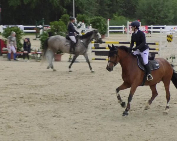 Reitturnier Isny-Rohrdorf 2018