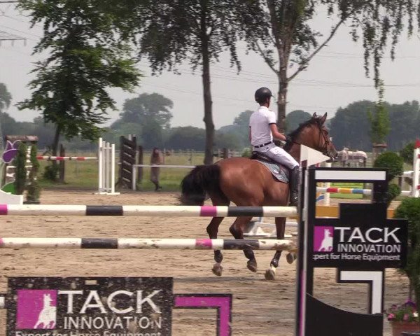 Reitturnier Dortmund-Asseln 2018