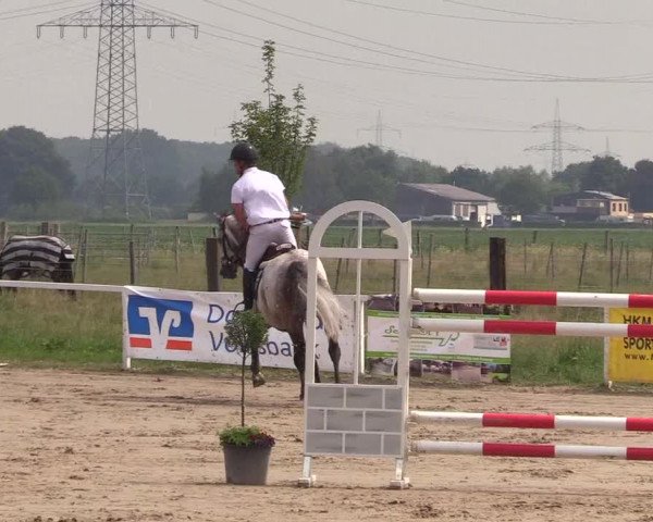 Reitturnier Dortmund-Asseln 2018