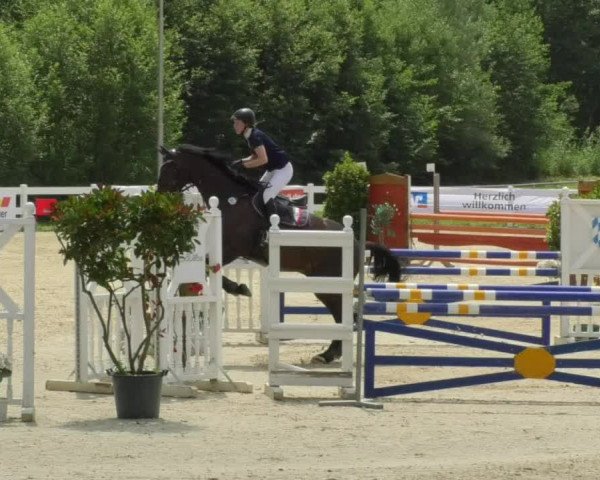 Reitturnier Isny-Rohrdorf 2018
