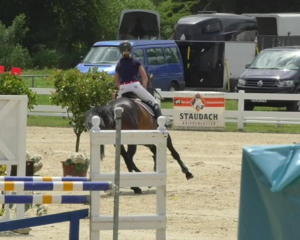 Reitturnier Isny-Rohrdorf 2018