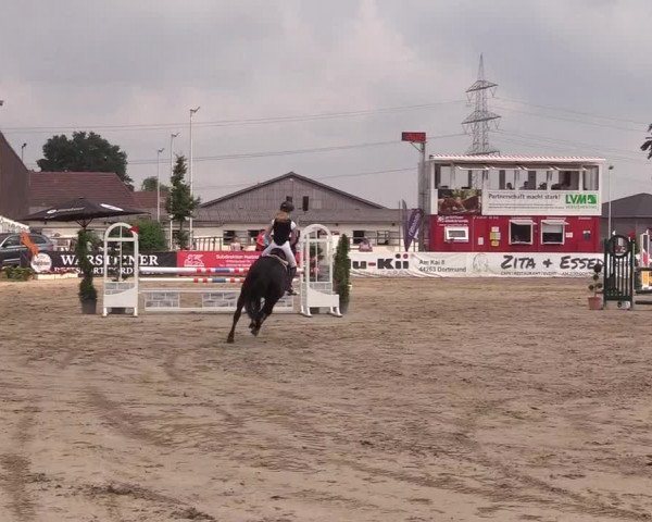 Reitturnier Dortmund-Asseln 2018