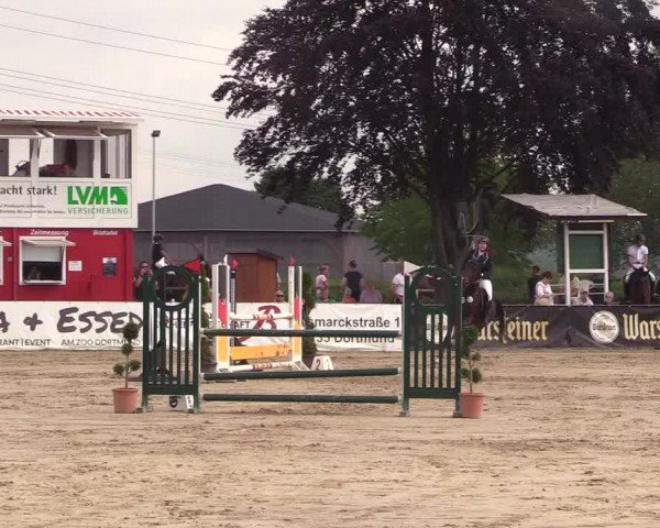 Reitturnier Dortmund-Asseln 2018