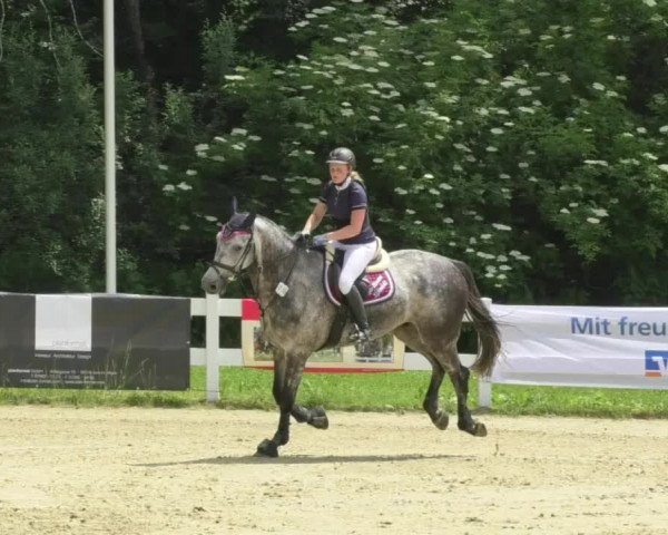 Reitturnier Isny-Rohrdorf 2018