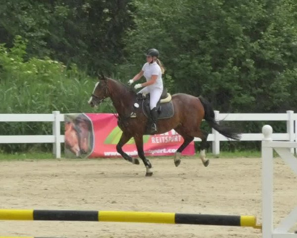 Reitturnier Isny-Rohrdorf 2018