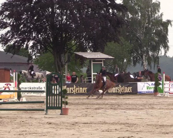 Reitturnier Dortmund-Asseln 2018