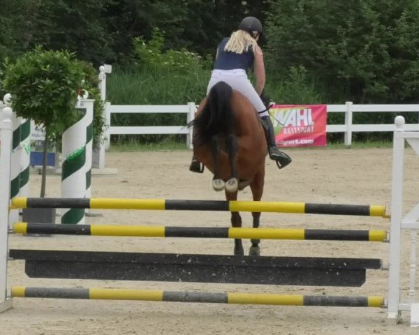Reitturnier Isny-Rohrdorf 2018