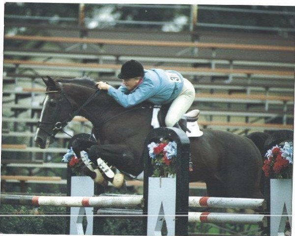 stallion Landjonker (KWPN (Royal Dutch Sporthorse), 1970, from Cartoonist xx)