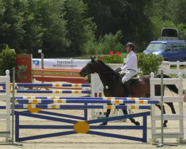 Reitturnier Isny-Rohrdorf 2018