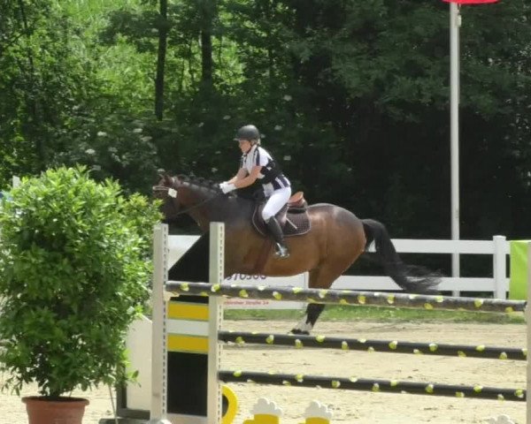 Reitturnier Isny-Rohrdorf 2018