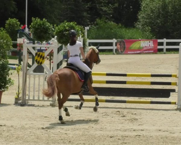 Reitturnier Isny-Rohrdorf 2018