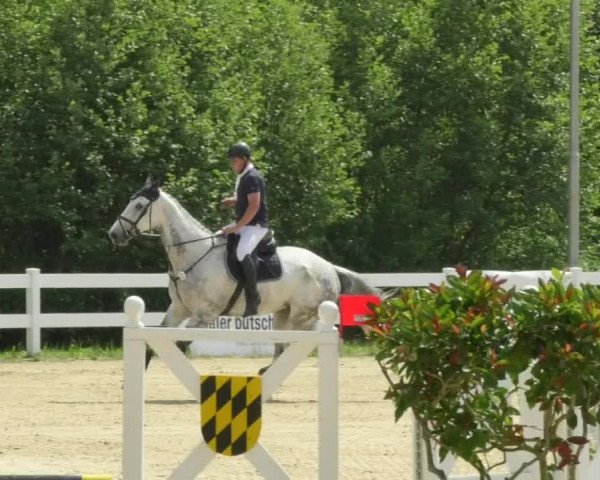 Reitturnier Isny-Rohrdorf 2018