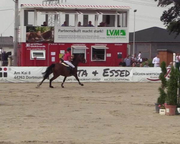 Reitturnier Dortmund-Asseln 2018