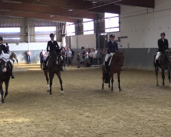 Reitturnier Dortmund-Asseln 2018