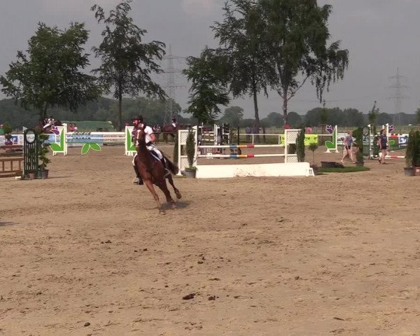 Reitturnier Dortmund-Asseln 2018