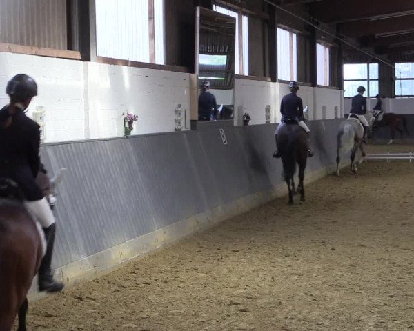 Reitturnier Dortmund-Asseln 2018