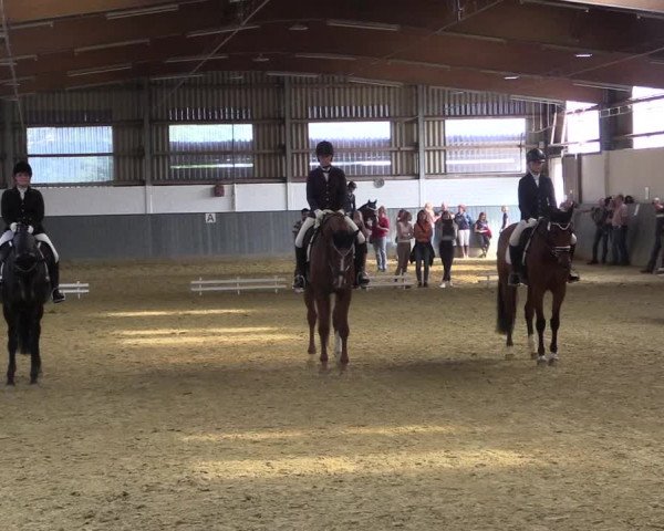 Reitturnier Dortmund-Asseln 2018