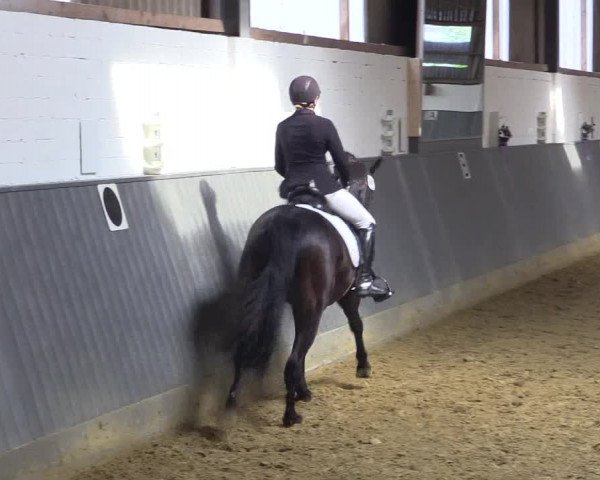 Reitturnier Dortmund-Asseln 2018
