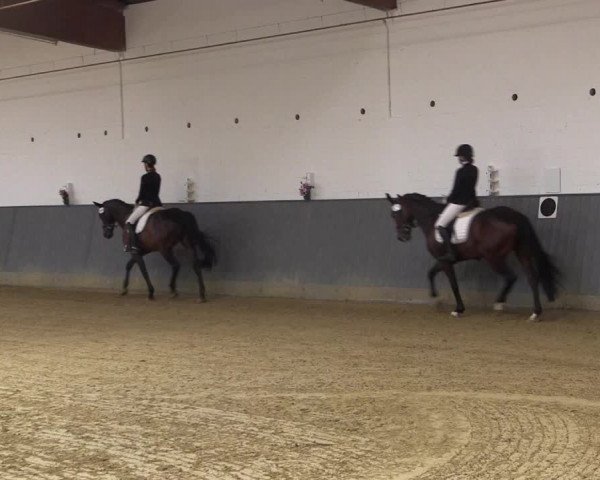 Reitturnier Dortmund-Asseln 2018