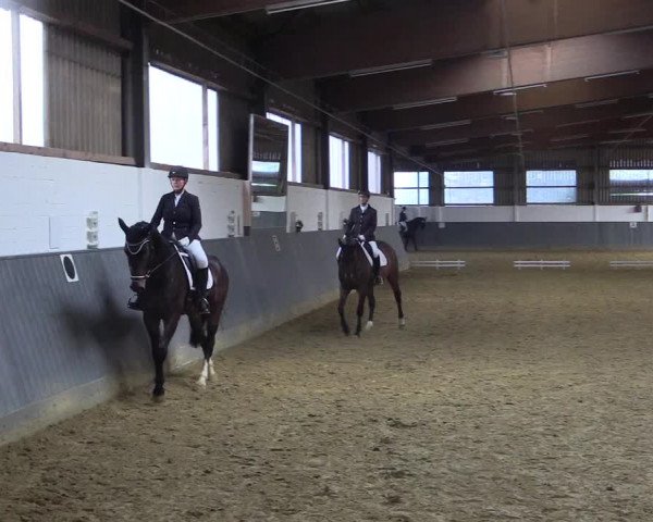 Reitturnier Dortmund-Asseln 2018