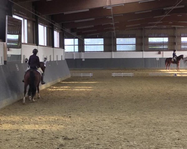 Reitturnier Dortmund-Asseln 2018