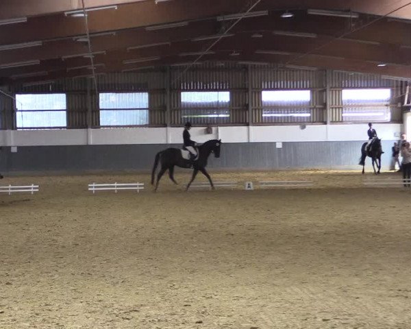 Reitturnier Dortmund-Asseln 2018