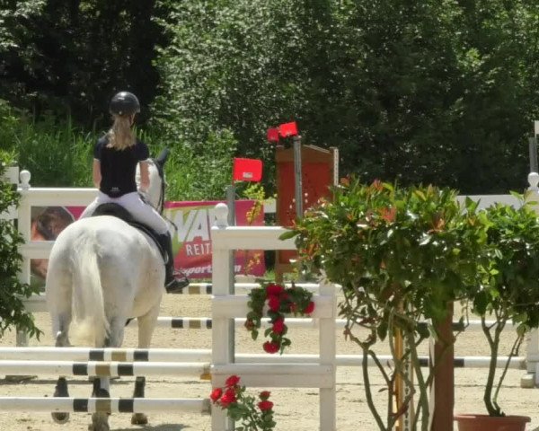 Reitturnier Isny-Rohrdorf 2018