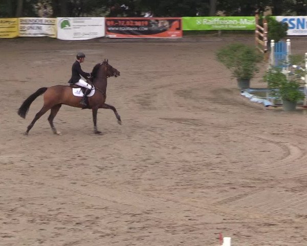 Reitturnier Erkrath - Uhlenhof 2018