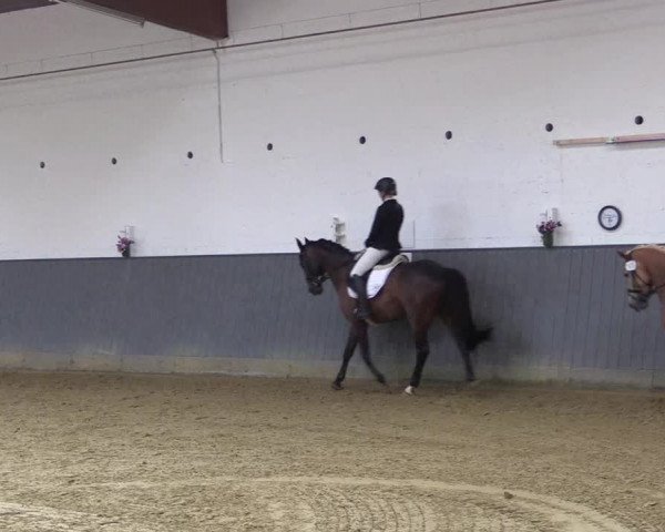 Reitturnier Dortmund-Asseln 2018