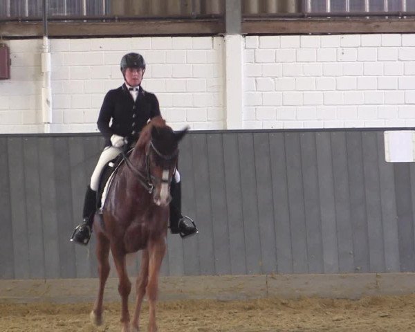 Reitturnier Dortmund-Asseln 2018
