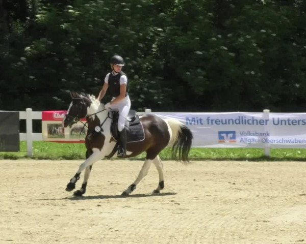 Reitturnier Isny-Rohrdorf 2018