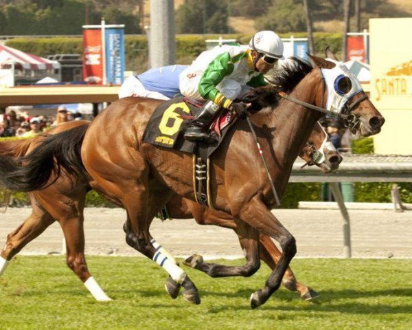 broodmare Scarlet Strike xx (Thoroughbred, 2010, from Smart Strike xx)