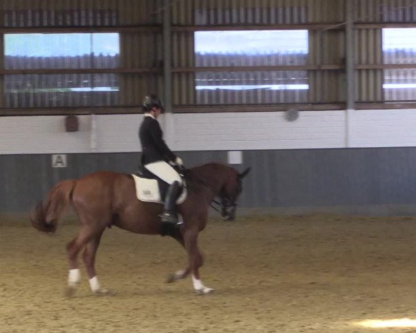 Reitturnier Dortmund-Asseln 2018
