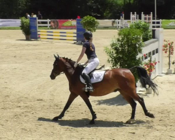 Reitturnier Isny-Rohrdorf 2018