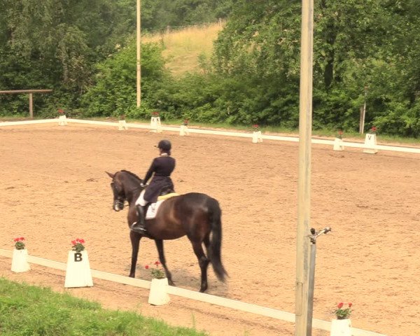 Reitturnier Erkrath - Uhlenhof 2018