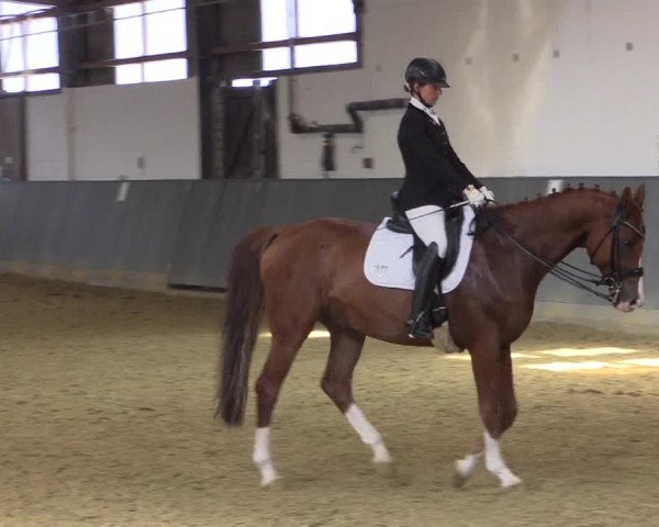 Reitturnier Dortmund-Asseln 2018