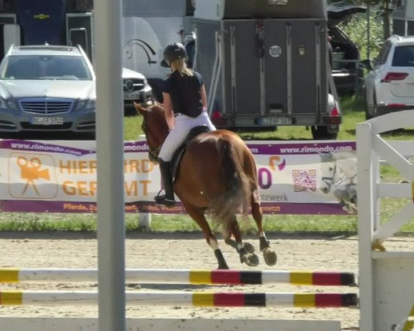 Reitturnier Isny-Rohrdorf 2018