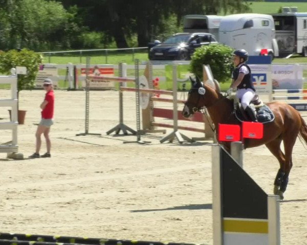 Reitturnier Isny-Rohrdorf 2018